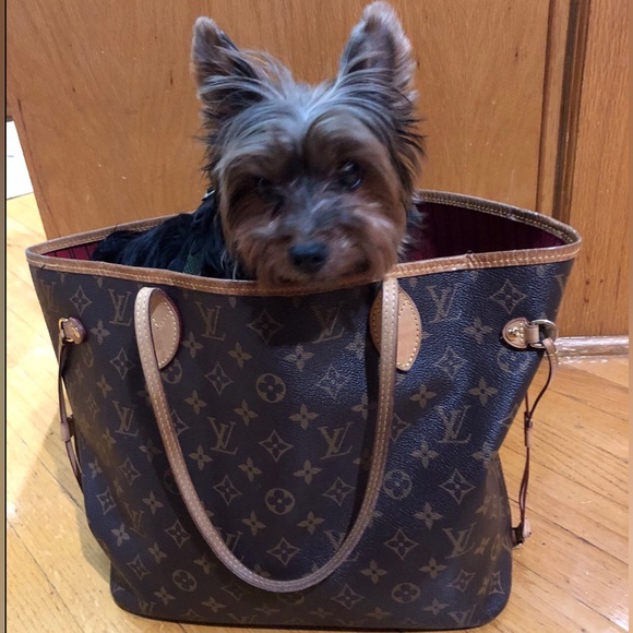 Meet your Posher, Molly - Picture 1 of 1